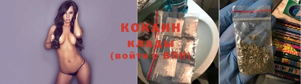 дурь Ладушкин